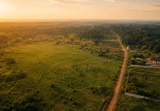 Golden hour estate view